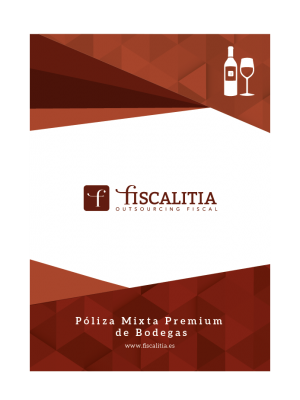 web fiscalitia_polizas_mixtas_premium-30